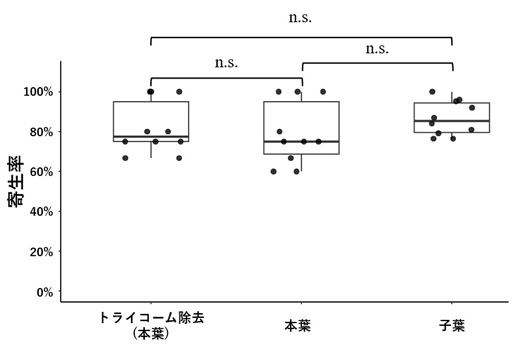 図4：トライコームの有無による寄生率の変化