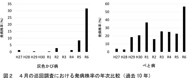 図2：4月の巡回調査における発病株率の年次比較（過去10年）