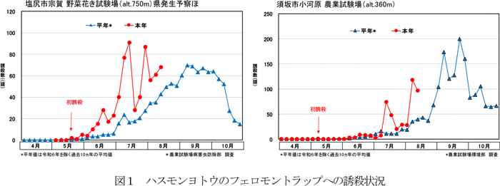 図1：ハスモンヨトウのフェロモントラップへの誘殺状況