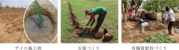 左から、ザイの施工例、石堤づくり、有機質肥料づくり