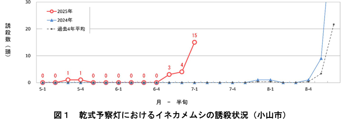 図1：乾式予察灯におけるイネカメムシの誘殺状況（小山市）