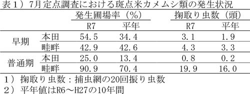 表1：7月定点調査における斑点米カメムシ類の発生状況