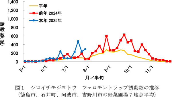 図1：シロイチモジヨトウフェロモントラップ誘殺数の推移（徳島市、石井町、阿波市、吉野川市の野菜圃場7地点平均）