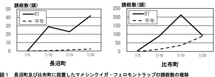 図1：長沼町及び比布町に設置したマメシンクイガ・フェロモントラップの誘殺数の推移