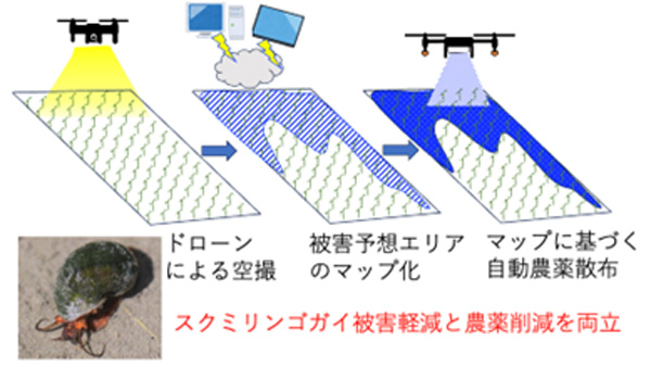 ドローンによるスクミリンゴガイ被害予測とスポット散布による防除概念図
