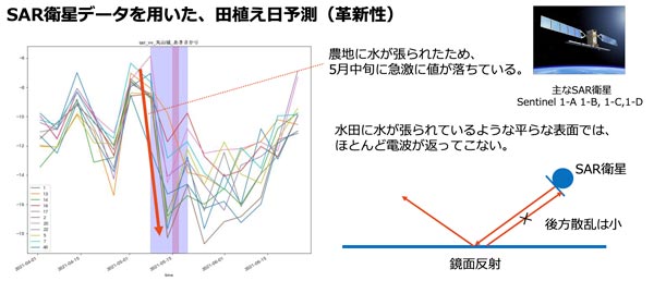 SAR衛星を用いた田植え日予測