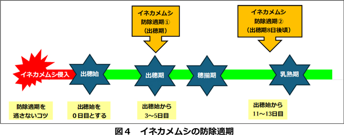 図4：イネカメムシの防除適期