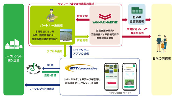 ヤンマーマルシェ×NTT Com　水稲農家の新たな収益源獲得へ　Jクレジット販売開始