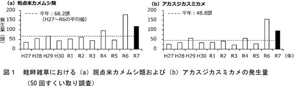 図1：畦畔雑草における（a）斑点米カメムシ類および（b）アカスジカスミカメの発生量（50回すくい取り調査）