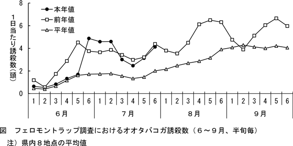 図：フェロモントラップ調査におけるオオタバコガ誘殺数（6～9月、半旬毎）注）県内8地点の平均値