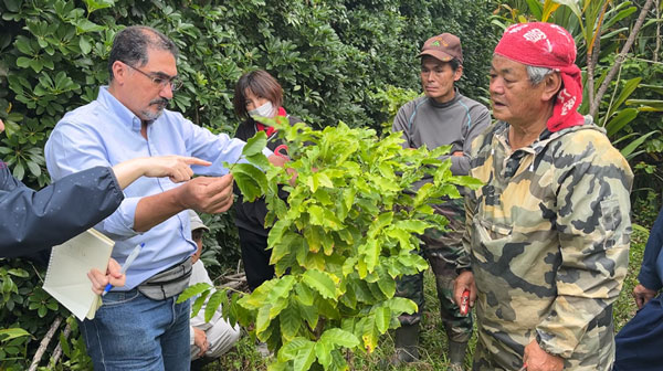 コロンビアから招いた農業技師が、実際に徳之島コーヒー生産者会の農園をまわり指導した