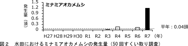 図2：水田におけるミナミアオカメムシの発生量（50 回すくい取り調査）
