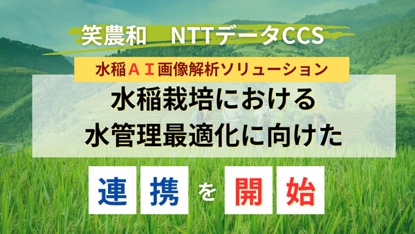 水稲栽培における水管理最適化へ　NTTデータCCSと連携開始　笑農和