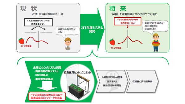 イチゴのジャストインタイム生産へ　生育センシングシステムを開発　農研機構