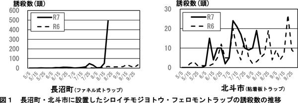 図1：長沼町・北斗市に設置したシロイチモジヨトウ・フェロモントラップの誘殺数の推移