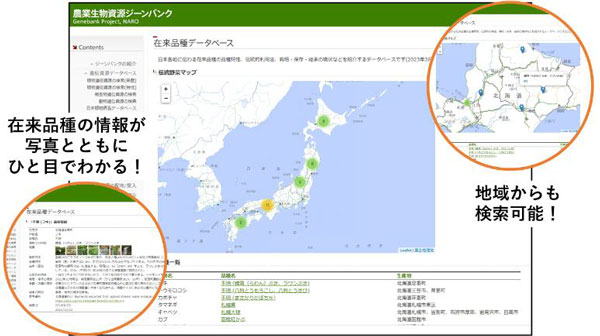 在来品種データベースホームページから