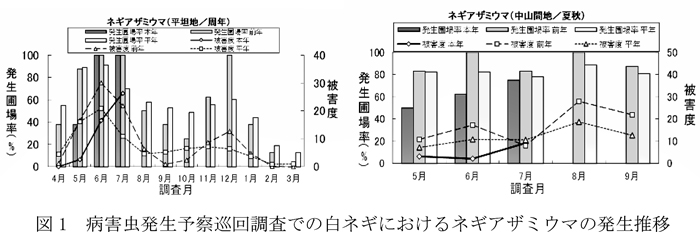 図1：病害虫発生予察巡回調査での白ネギにおけるネギアザミウマの発生推移