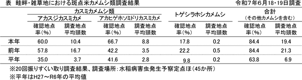 表：斑点米カメムシ類生息密度調査結果