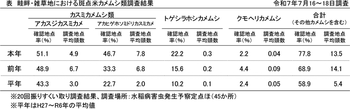 表：畦畔・雑草地における斑点米カメムシ類調査結果（7月16～18日調査）