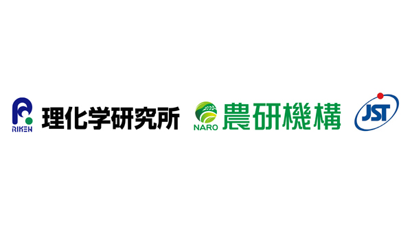植物は「危険サイン」で寄生線虫を察知　糸状菌や昆虫も同じ仕組みで認識か　理研×農研機構×JST.jpg