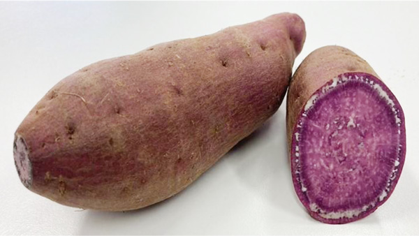 青果用紅いも新品種「Hai-Saiすいーと」