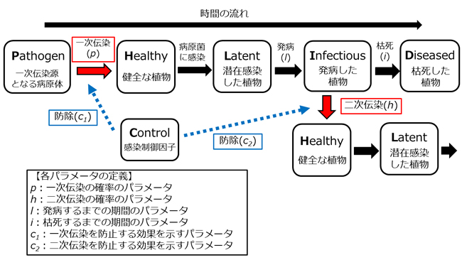 植物病害数理モデル