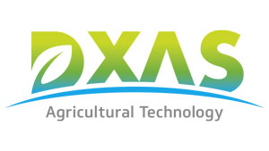 少量多頻度灌漑に対応　AI営農アドバイスと自動灌漑制御サービスを提供　DXAS