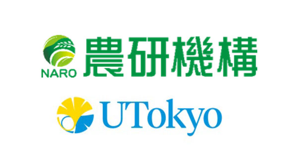 常温乾燥保存が可能な「匂いセンサー」培養細胞の作出に成功　農研機構.jpg