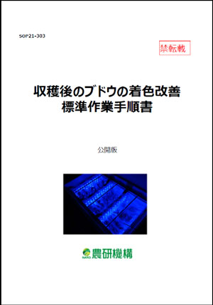 収穫後のブドウの着色改善標準作業手順書