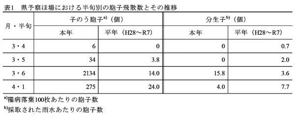 表1：県予察ほ場における半旬別の胞子飛散数とその推移
