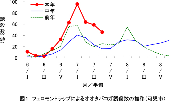 図1：フェロモントラップによるオオタバコガ誘殺数の推移（可児市）