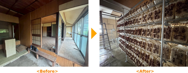 空き家のBefore（左）とAfter
