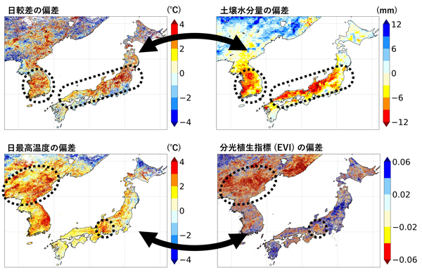 図2：2018年7月16日～8月5日の猛暑時における日較差、日最高温度、土壌水分量、分光植生指標（EVI）の平年値からの偏差