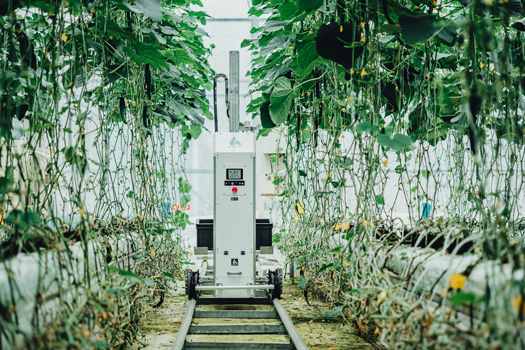 AGRISTの自動収穫ロボット