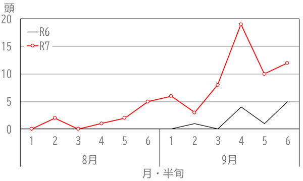 図2：熊谷市に設置したLED 予察灯における誘殺数の本年と昨年との比較