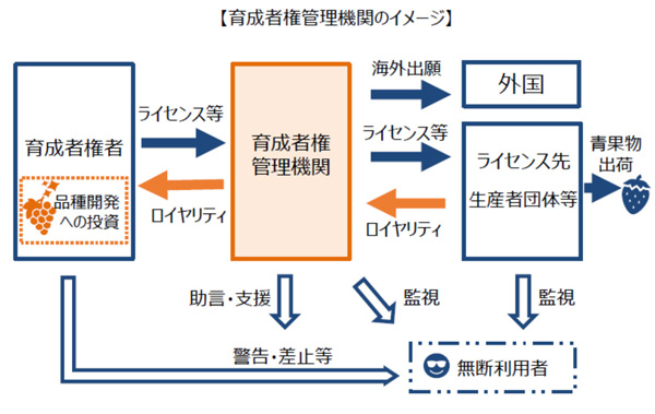 育成者権管理機関のイメージ