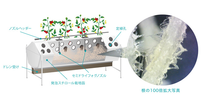 特徴的な根と、気相率の高い根域環境、緻密な給液制御が、従来にないストレス栽培管理を実現