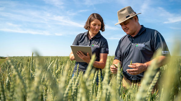 農業イノベーションの強力なパイプラインで食料安全保障、気候、環境に貢献　BASF