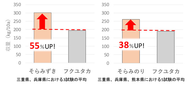 「そらみずき」と「そらみのり」の生産者ほ場における現地実証試験での平均収量