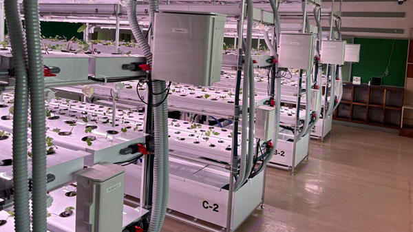 岩手県紫波町の廃校で「AI活用型-次世代わさび農場」始動　NEXTAGE