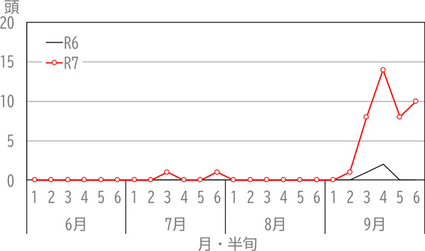 図1：川島町に設置した水稲用予察灯（光源：60W 白熱電球）における昨年誘殺数の今年と昨年との比較