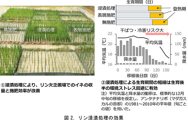 リン漬処理の効果２