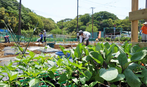 市民農園に多大な健康効果－アグリメディアと東大が共同調査