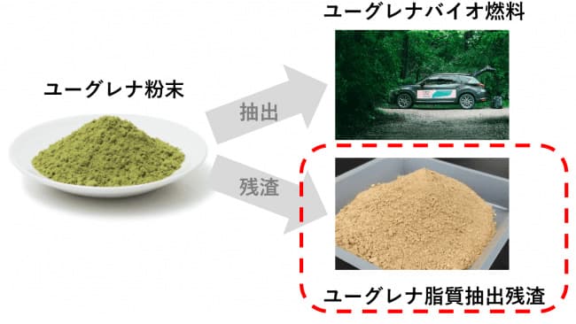 脂質抽出後のユーグレナ残渣