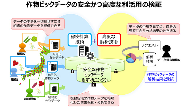 共同研究の概要