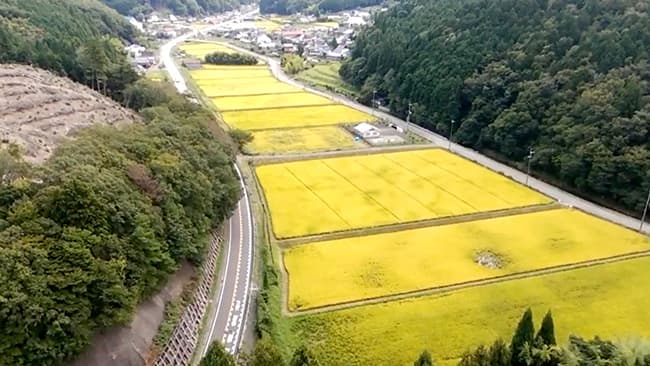 天王地区の中心エリア