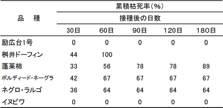 イチジク株枯病の土壌接種試験における累積枯死率の推移