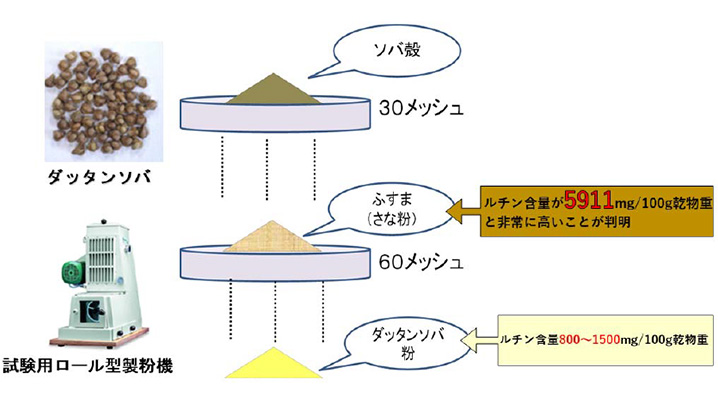 ダッタンソバ粉製造時に得られるふすま（さな粉）のルチン含量