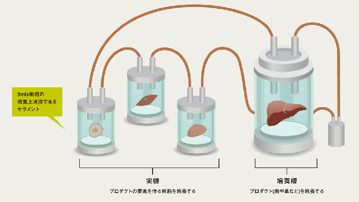 培養肉づくりのイメージ