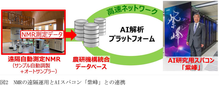 NMRの遠隔運用とAIスパコン「紫峰」との連携